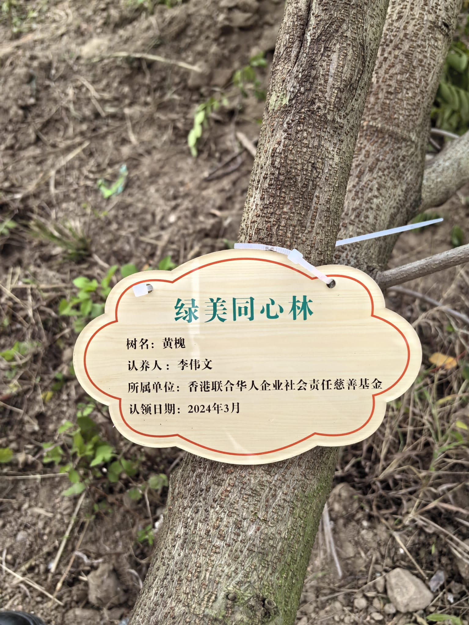 青年滙助基金 Help The Youth Foundation